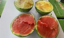 武汉爆料最新吃瓜新闻,吃瓜群众聚焦神秘事件，真相即将揭晓